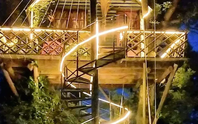 LA pajarera romántica