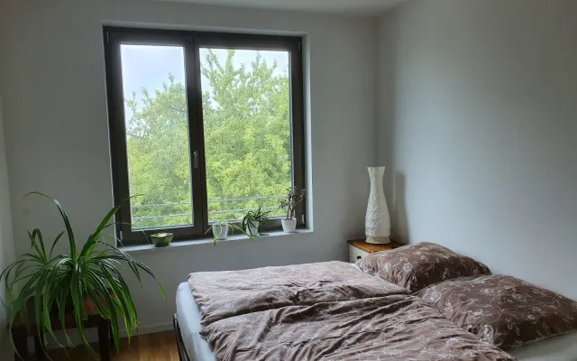 Loue chambre lumineuse avec stores dans appartement partagé, offre le...