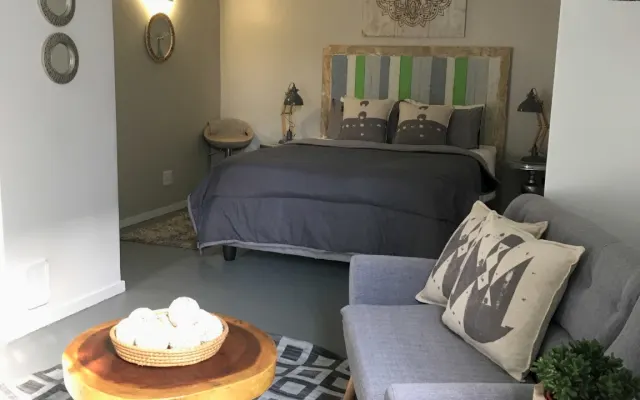 TRAVELLER STUDIO #5 first floor (De Waterkant GAY village)