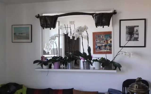 Room to rent