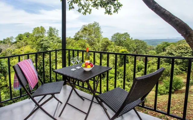 Mountain Paradise / Manuel Antonio View