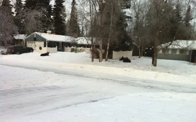 Residential Home near downtown and airport