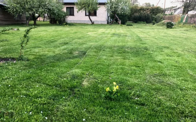 Un espacio acogedor en casa de un gay