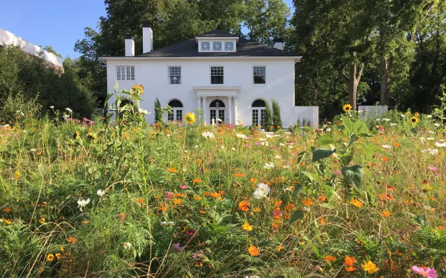 Restoration adventurers welcome!