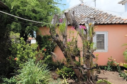 Petite maison dans mon jardin