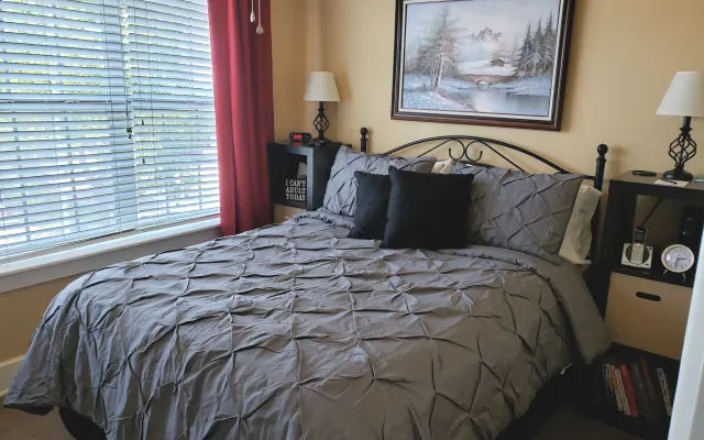 Historic Downtown Apartment - Guestroom