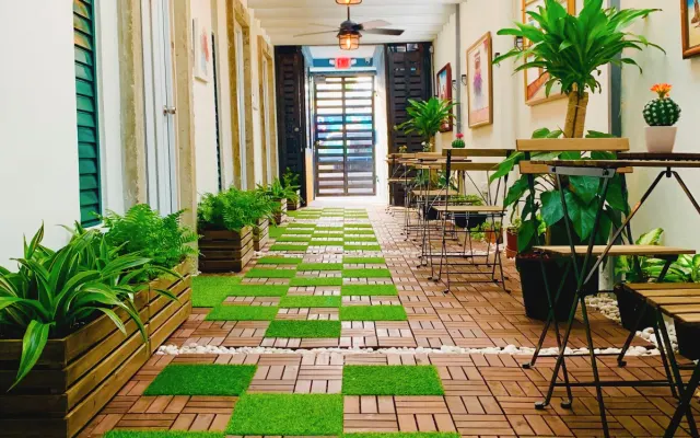 Tapia Haus 103, One Bed Room Apartment El Morro 5 Mins to Bear Tavern