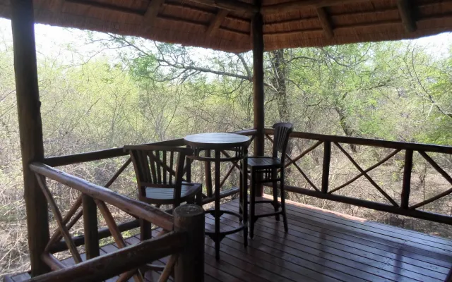 Bushbaby Haven