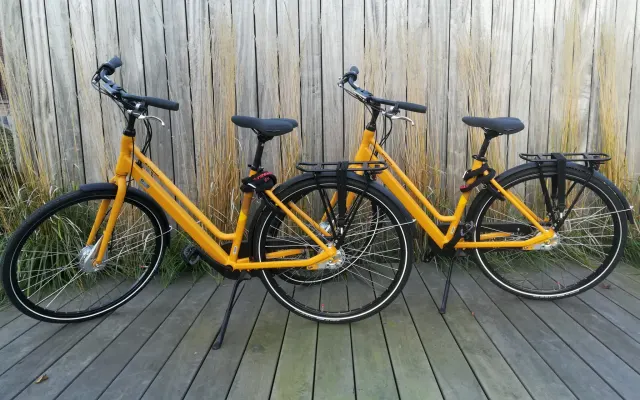 Bamboo room (+free bicycles to use)