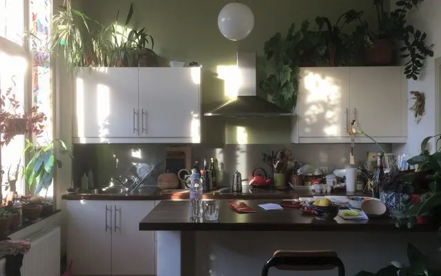 Sofá cama en apto luminoso entre libros y plantas, muy bien comunicado