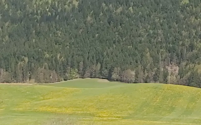Tranquilidad y aire puro en la región de Vercors 5*.