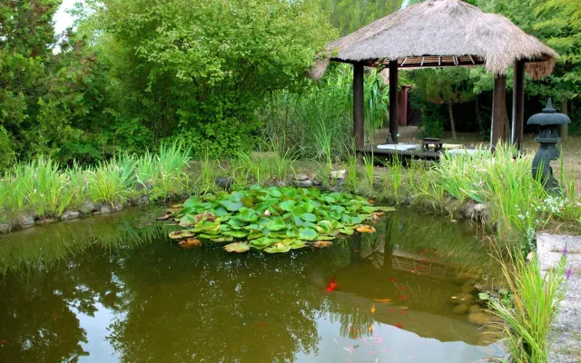 Haus mit allem Komfort extra Zen in der Provence