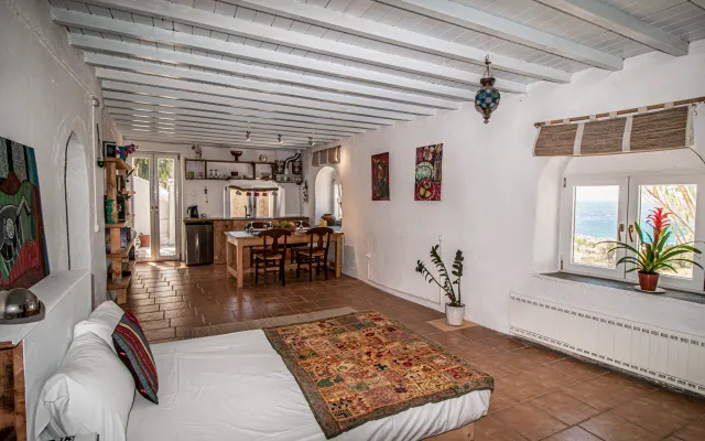 Lilly's Seaview apartment - Great location above Mykonos town