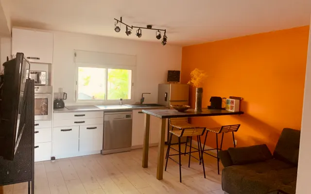 DOMINJOD T1 com terraço e pequeno jardim