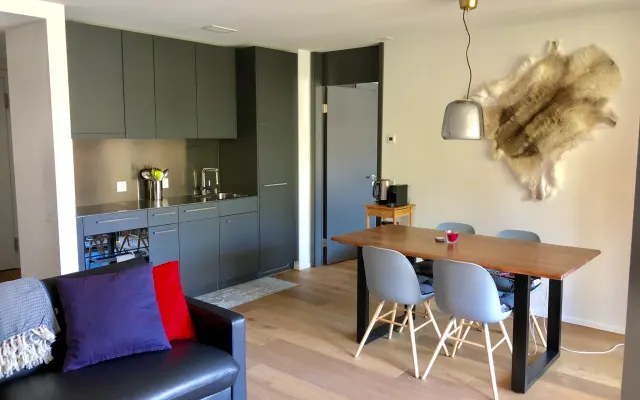 Magnifique appartement neuf et ensoleillé d'une chambre (2.5Zim). Ski...