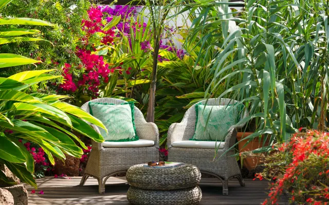 Finca Botanico Jardin secret
