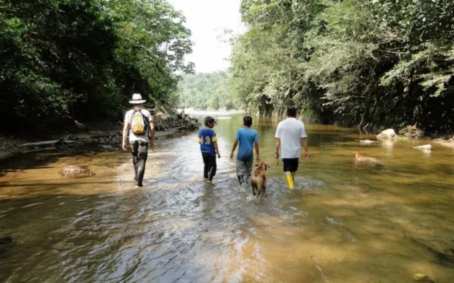 LODGE & TOUR DI GRAND SELVA