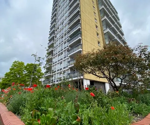 Cosy flat next to Battersea Park and Albert Bridge