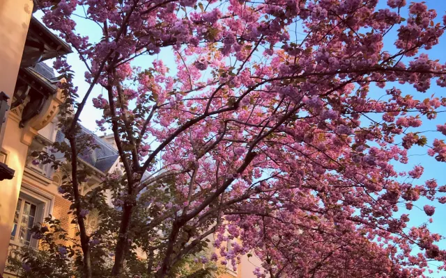 PARÍS Y LA NATURALEZA EN UNA UBICACIÓN IDEAL