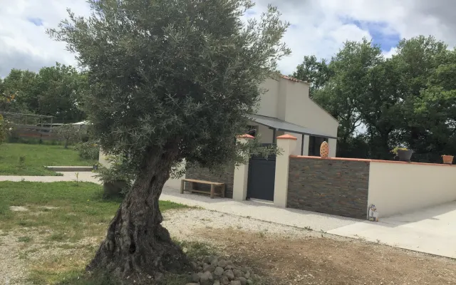 Air-conditioned house in a green setting near Castres