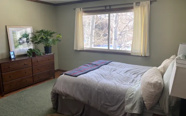Roaring Fork Valley Home Acre Lot
