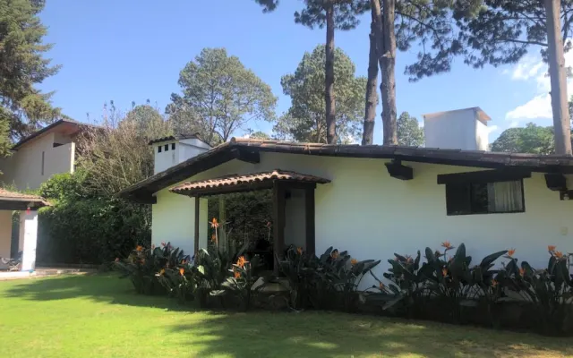 Bosque y Paz Cabins