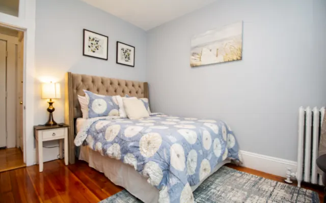 Lleno de sol recién renovado 1Bed, MBTA