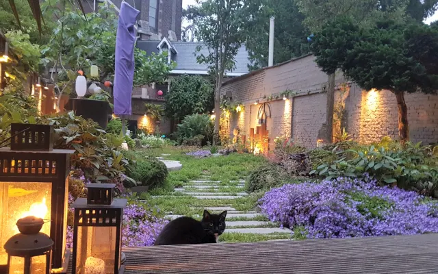 B&B Gästehaus Leman, einfach ein Erlebnis