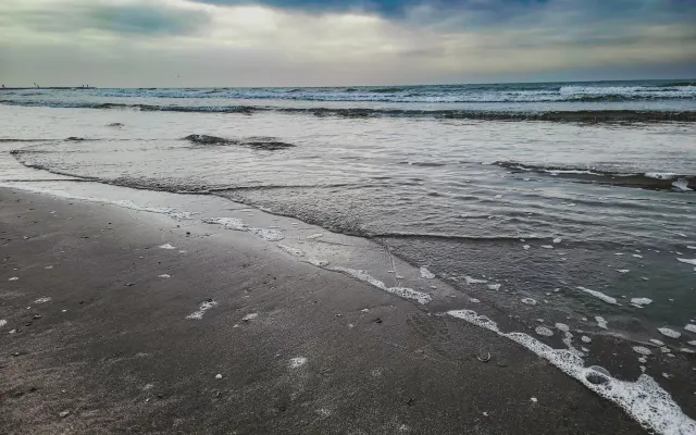 Ocean View, Central Location, Fun In The Sun