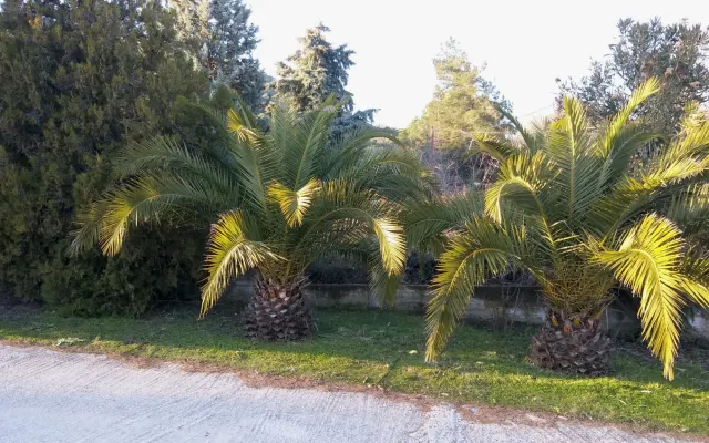Appartamento blu