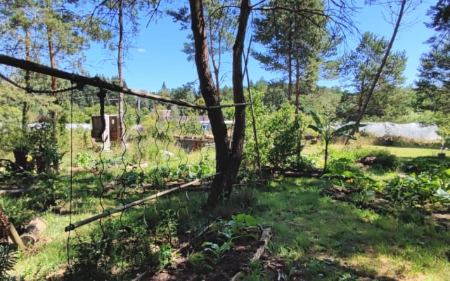 Campeggio in fattoria