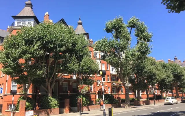 Remote work haven - quiet top floor apt near tube, parks & cafes