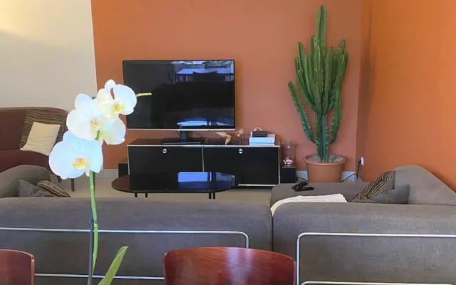 Room in Toulouse shared apartment