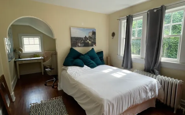 The Cat's Meoooow: A Private Room in the Jungle House