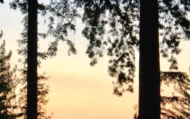 SkyHigh Redwoods Retreat mit Bay Views