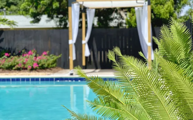 Santorini Pool House Wilton Manors Walk to the Dr.