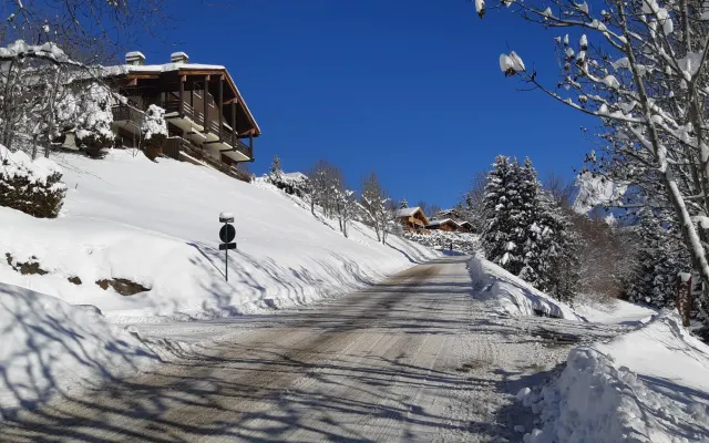 Belle vue sur les Aravis - 2 pièces 4* - animaux bienvenus
