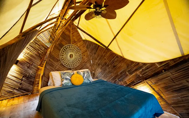 Cabina privata King Jungle