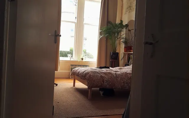 Chambre double spacieuse et lumineuse avec chat d'intérieur