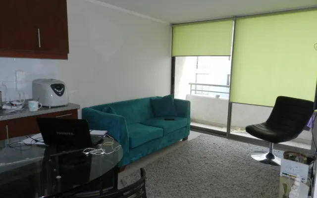 Nice apartment in the center of Santiago