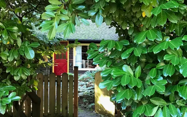 Cabane confortable dans les arbres