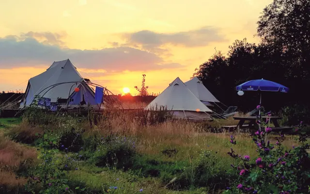 Einzigartiges Glamping auf dem ökologischen, schwulen Bauernhof Modest 