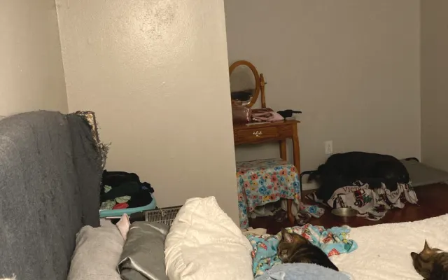 Beautiful apartment near ocean and park