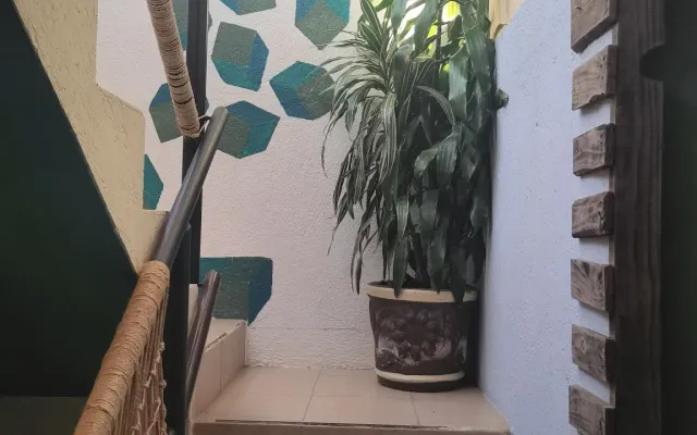 Pasion y tranquilidad cerca del bosque donde disfrutaras tu estancia