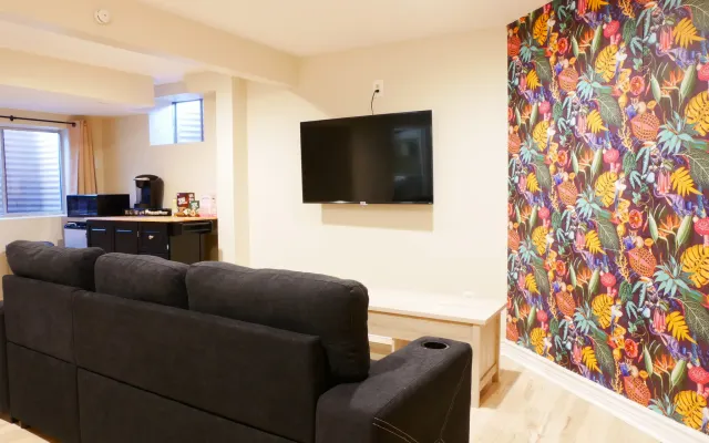 Private Basement, Bathroom, Living Room in Morrison close to Red Rocks