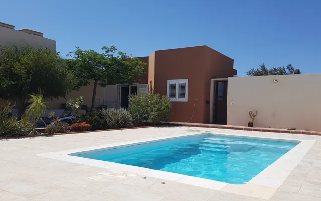 Casa grande, com piscina, rodeada de jardins e oliveiras.
