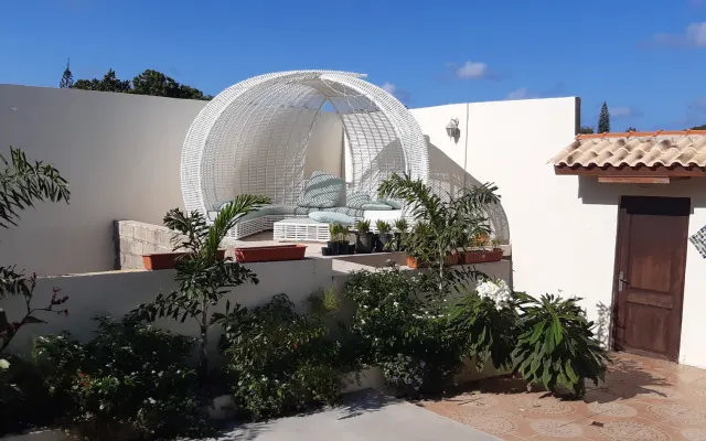 3 Ropa opcional Island House Curacao comodidad habitación piscina y...