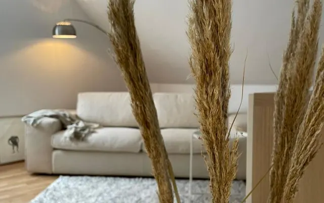 Bonito apartamento de 2 quartos no Media Harbour de Düsseldorf.