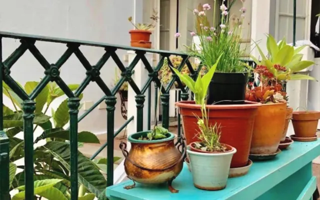 Spacious Apartment with Roof Terrace in Historical Centre of Tavira