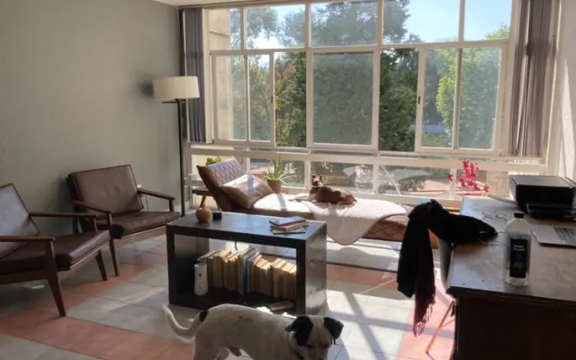 apartamento con vista verde